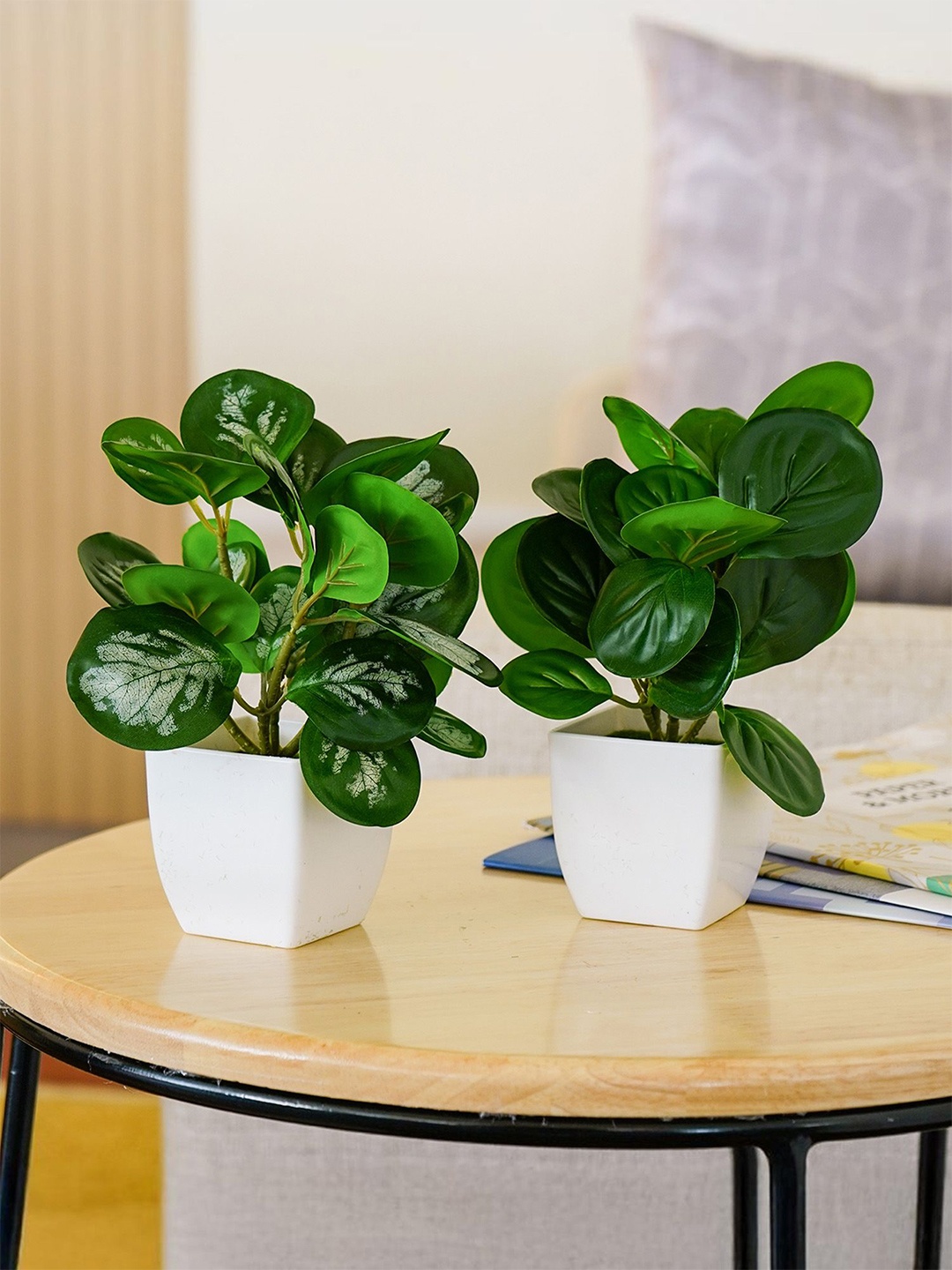 

Ekhasa Green 2 Pieces Peperomia Artificial Plant With Pot