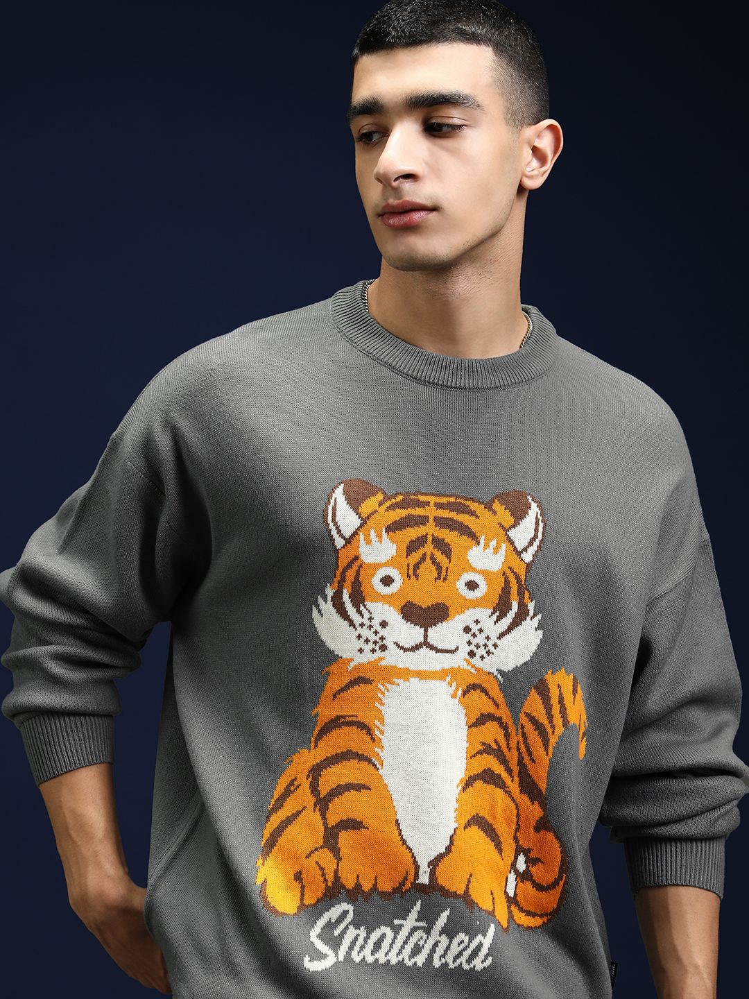 

HIGHLANDER Men Graphic Self Design Pullover, Grey