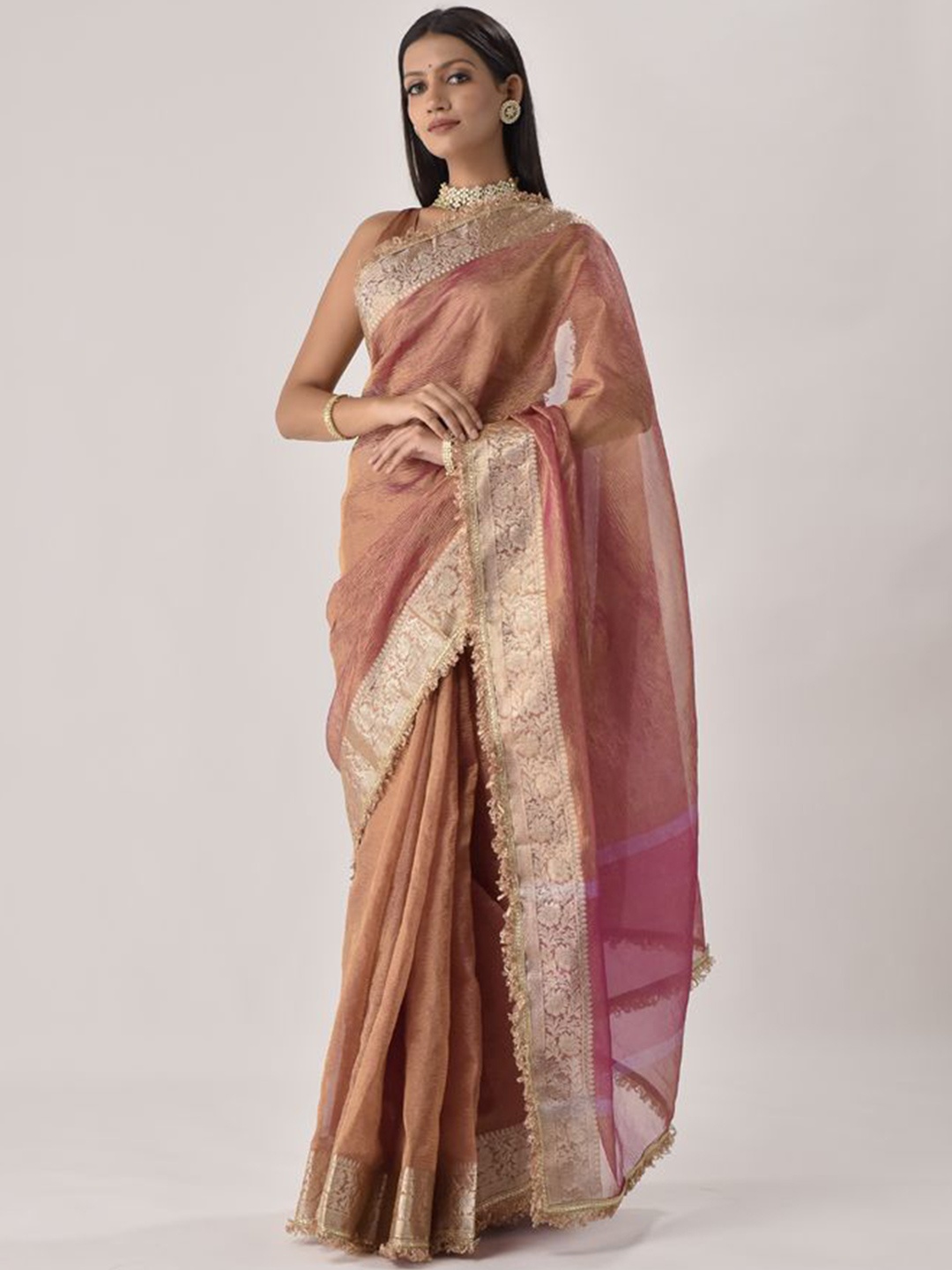 

sutra attire Zari Tissue Banarasi Saree, Brown