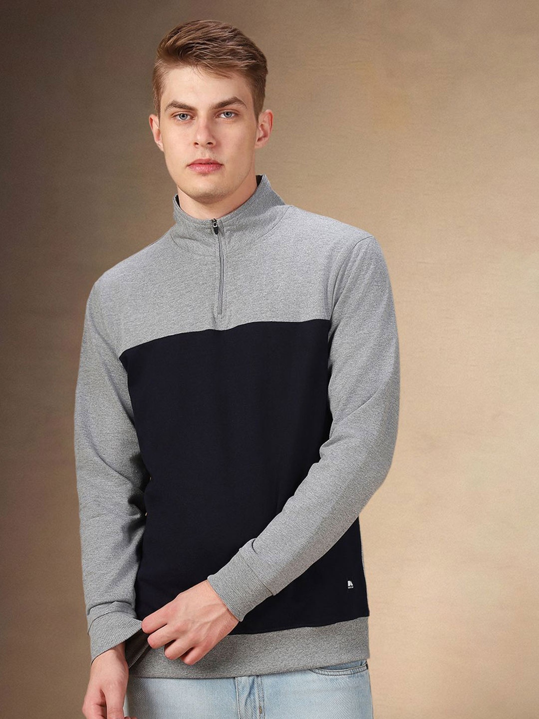 

Dennis Lingo Men Colourblocked Sweatshirt, Grey melange