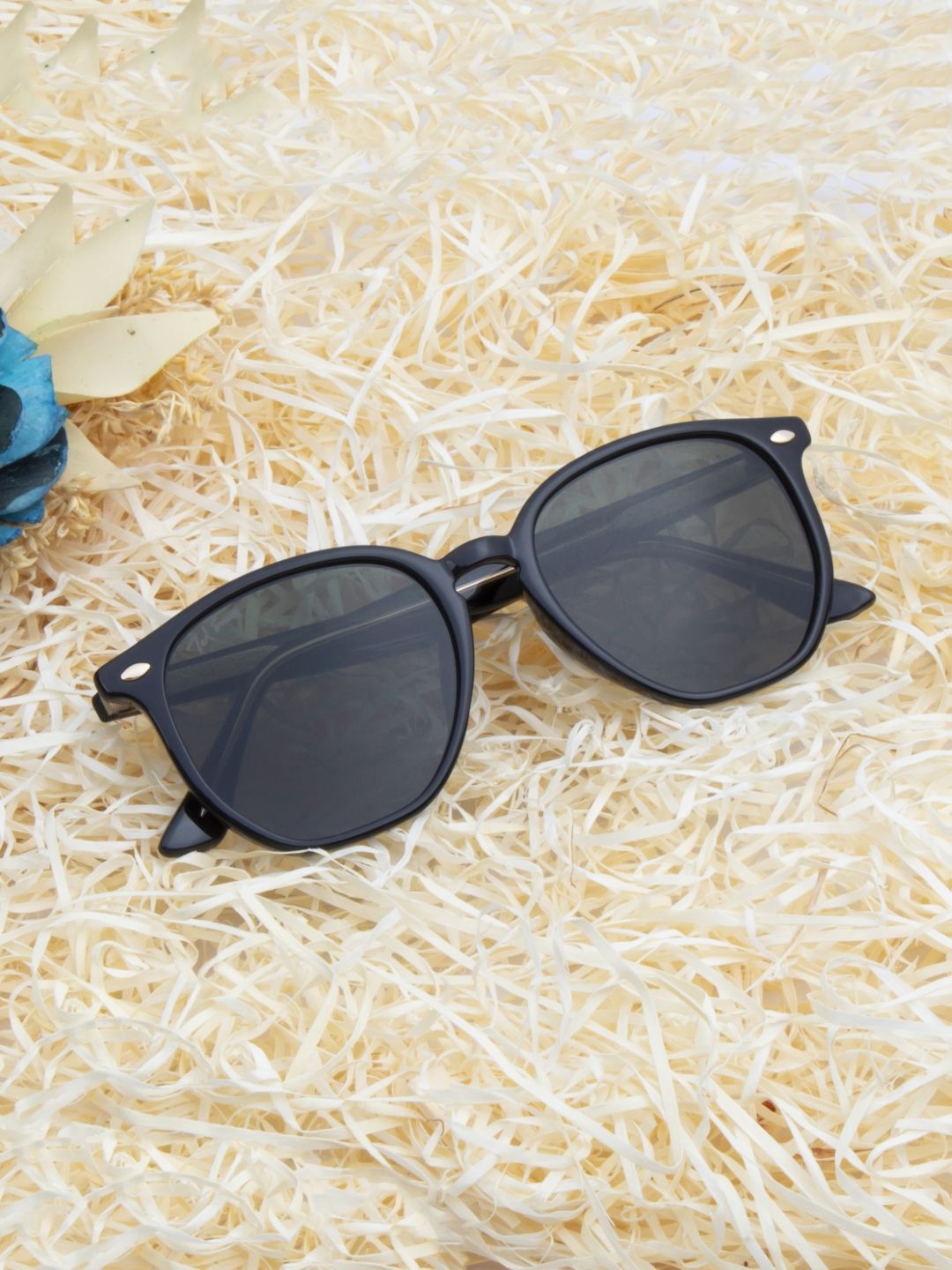 

Ted Smith Unisex Wayfarer Sunglasses with UV Protected Lens SAGE_C1, Black