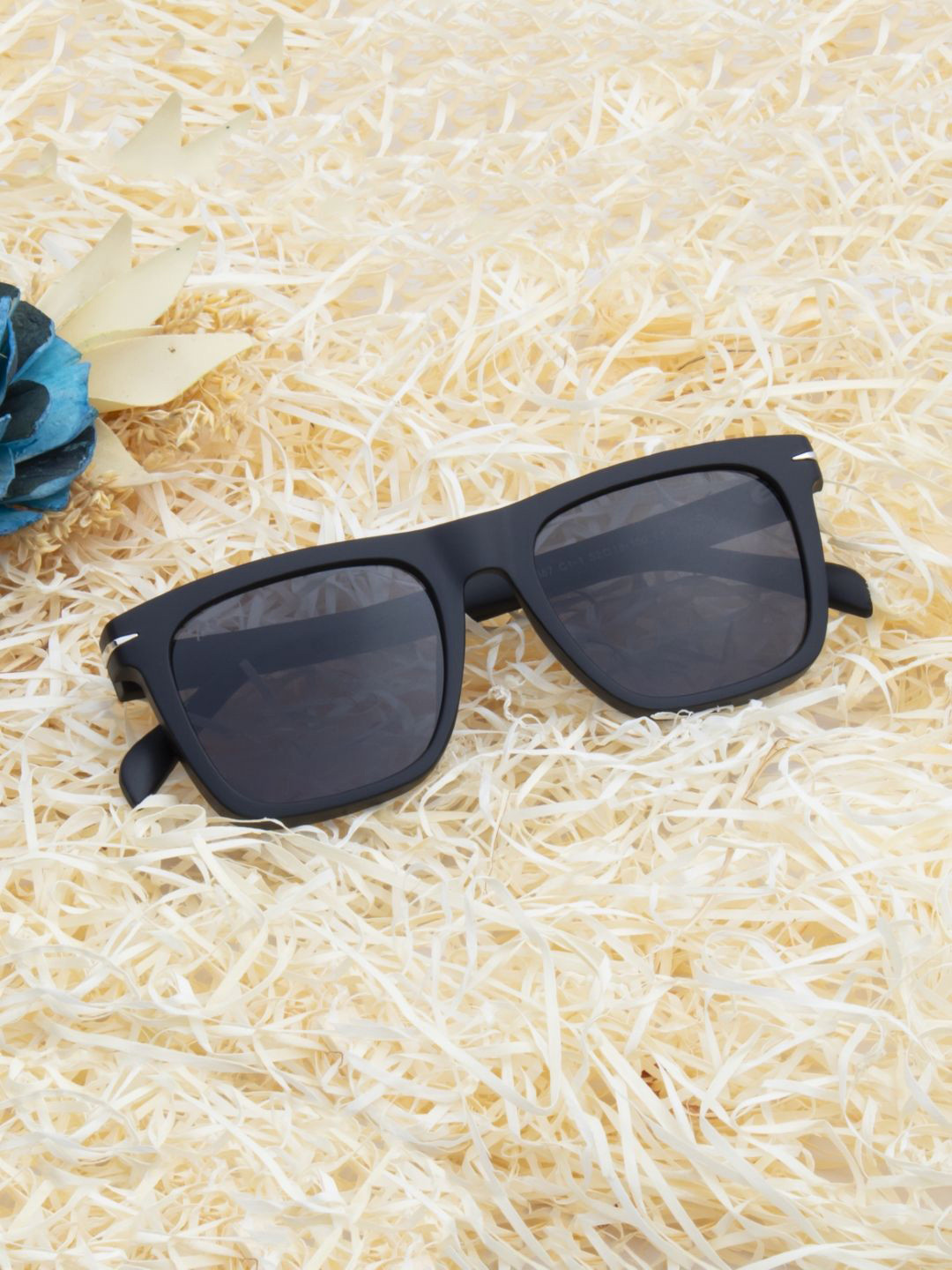 

Ted Smith Unisex Wayfarer Sunglasses with UV Protected Lens ATRIA_C1-1-BLACK, Grey