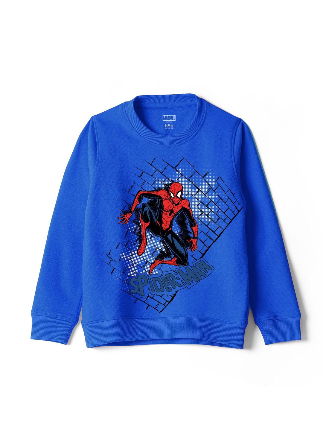 

Wear Your Mind Boys Graphic Printed Round Neck Long Sleeves Sweatshirt, Blue