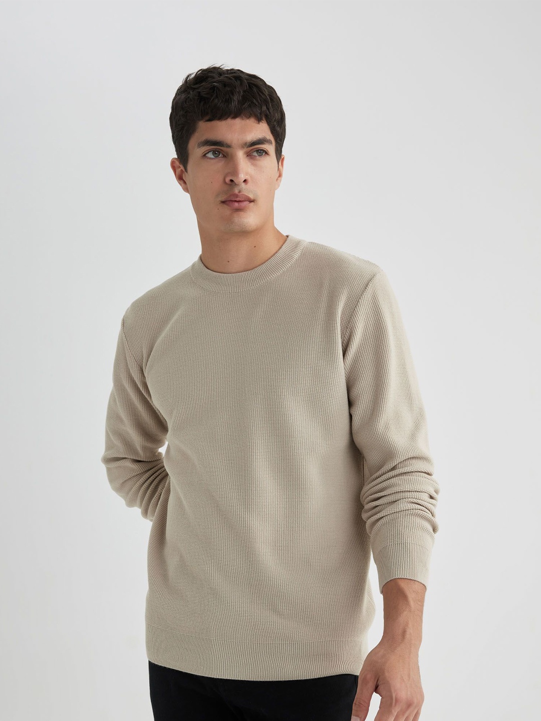 

DeFacto Men Ribbed Pullover, Beige