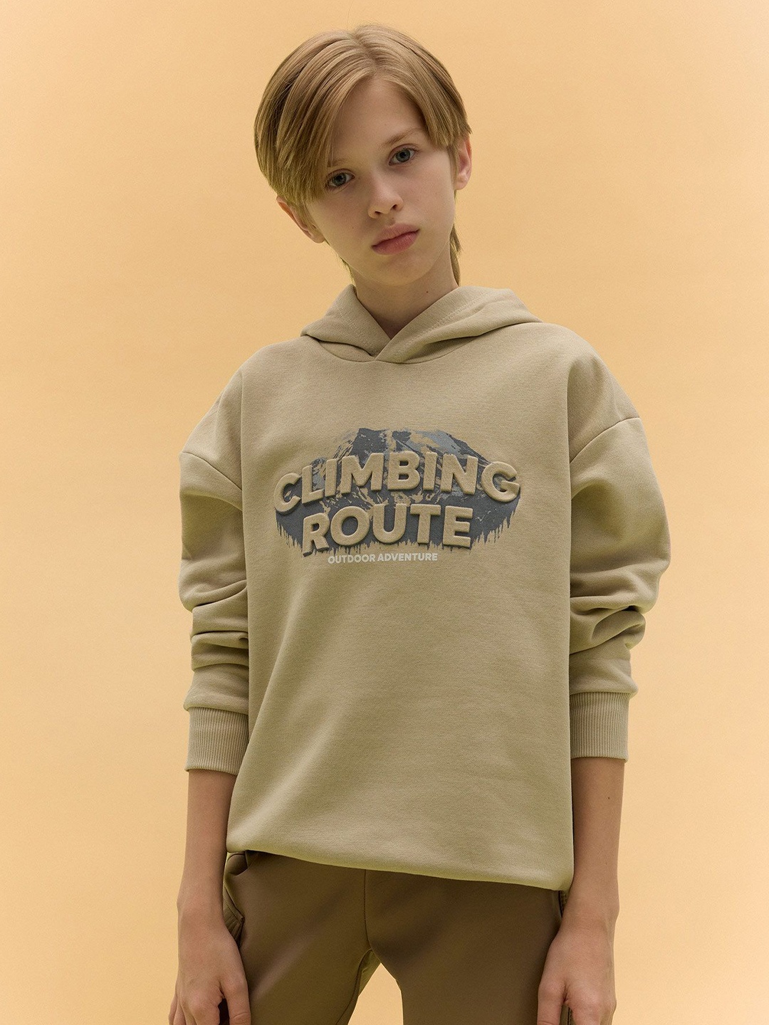 

DeFacto Boys Typography Printed Pullover Sweaters, Beige