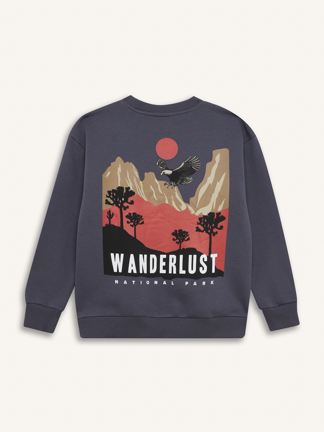 

DeFacto Boys Quirky Printed Round Neck Pullover Sweater, Blue