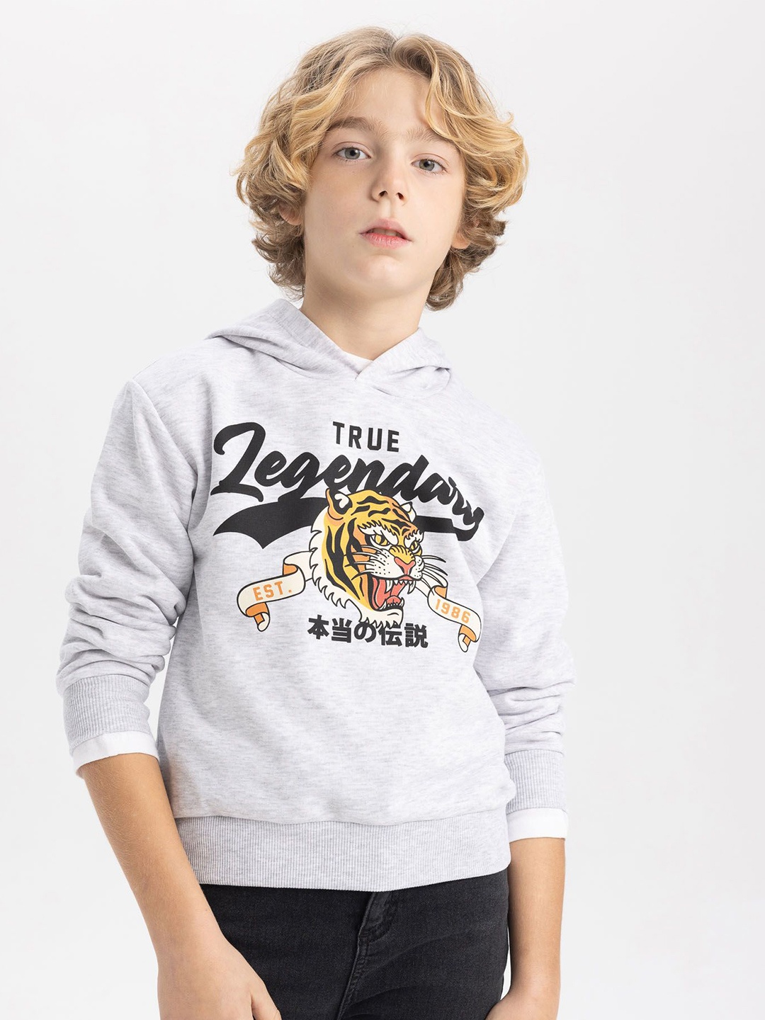 

DeFacto Boys Typography Printed Pullover, Grey