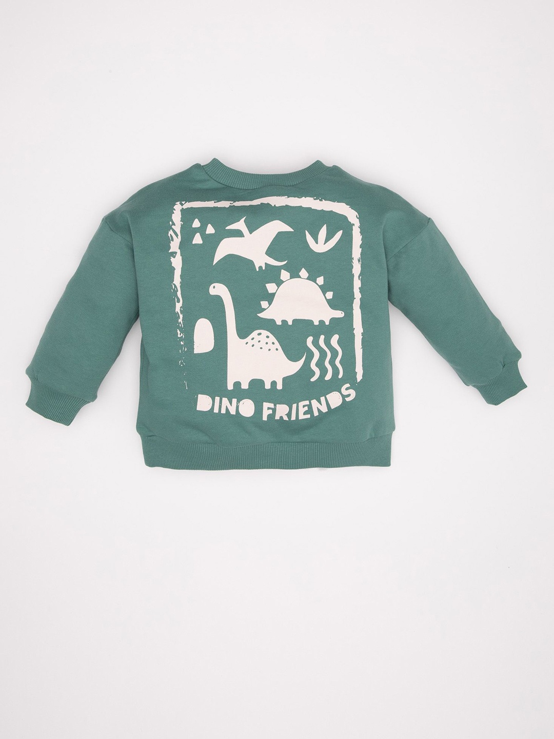 

DeFacto Boys Cotton Long Sleeves Round Neck Printed Pullover, Green