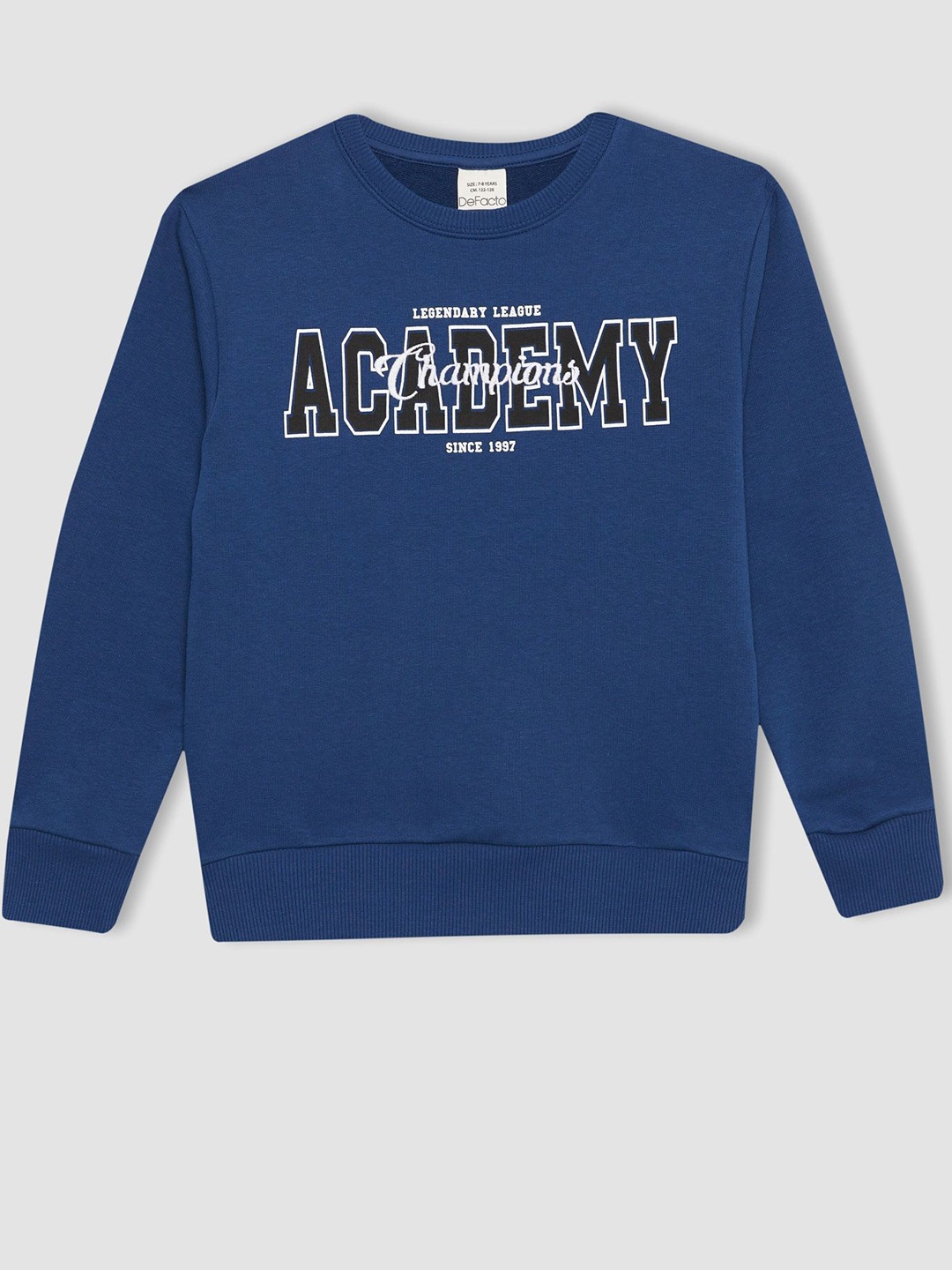 

DeFacto Boys Typography Printed Pullover, Blue
