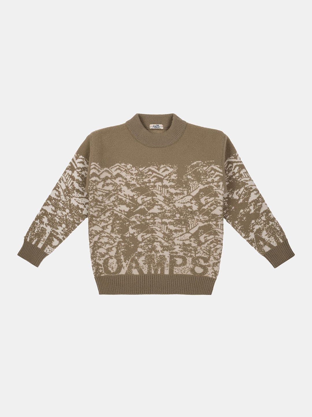 

Albion By CnM Boys Abstract Printed Woollen Pullover, Olive