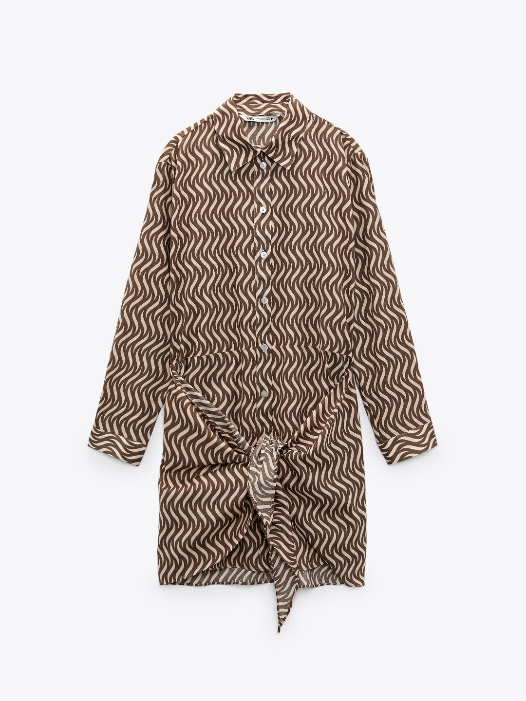 

ZARA Women Brown Dress