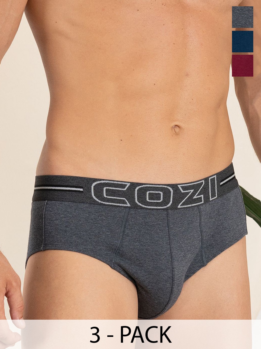 

Lux Cozi Men Pack Of 4 Pure Cotton Basic Briefs COZI_1124_LUXURY_AST_4PC, Grey