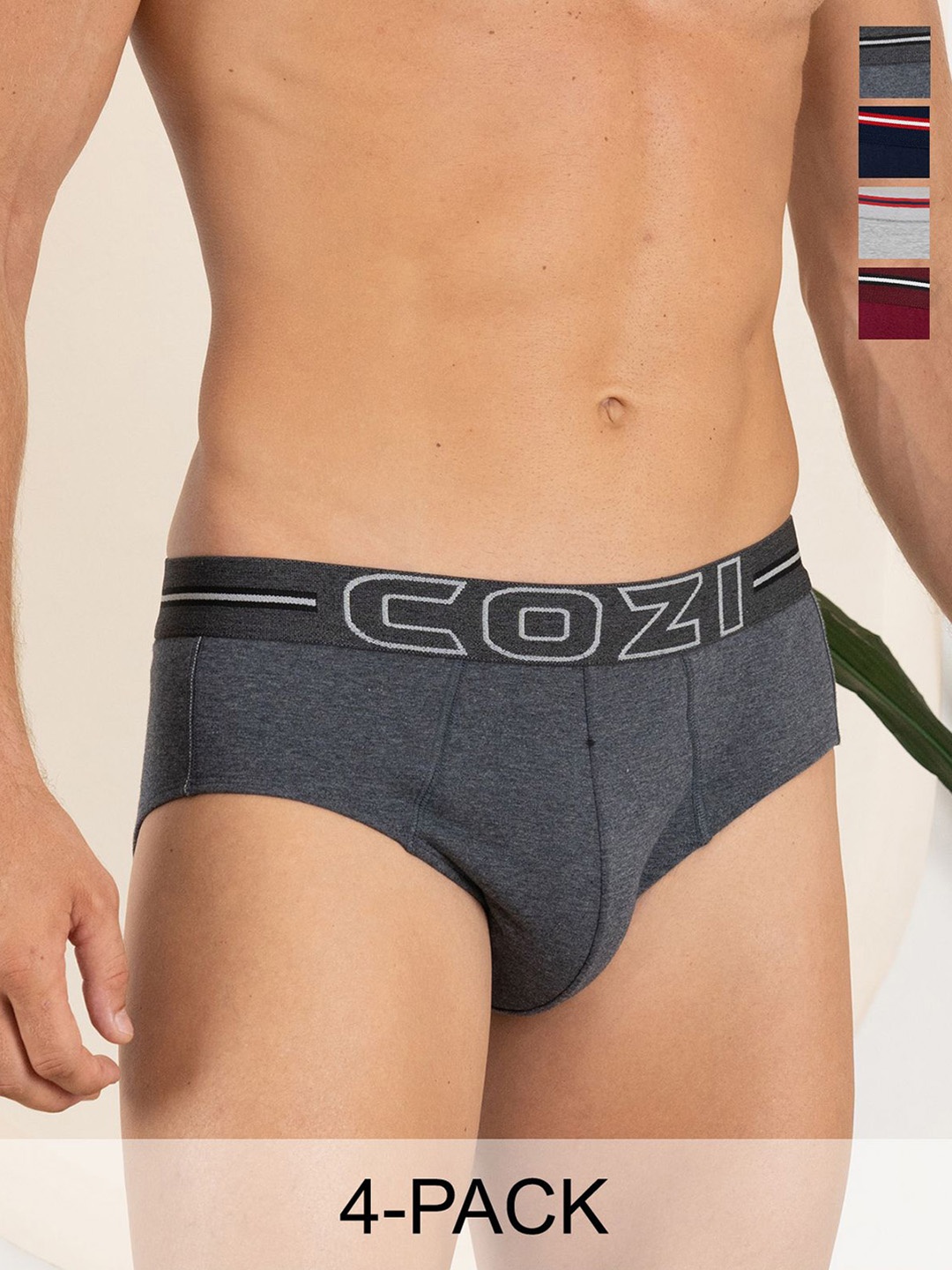 

Lux Cozi Men Pack Of 4 Cotton Basic Briefs COZI_1124_LUXURY_AST_4PC, Grey