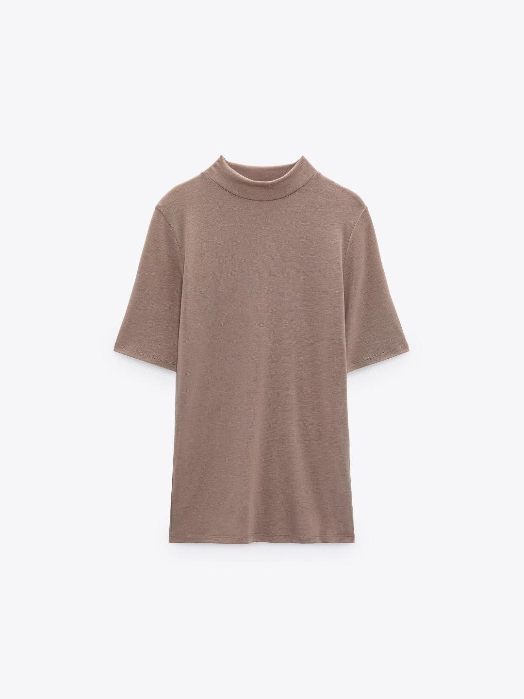 

ZARA Women Brown T-shirt