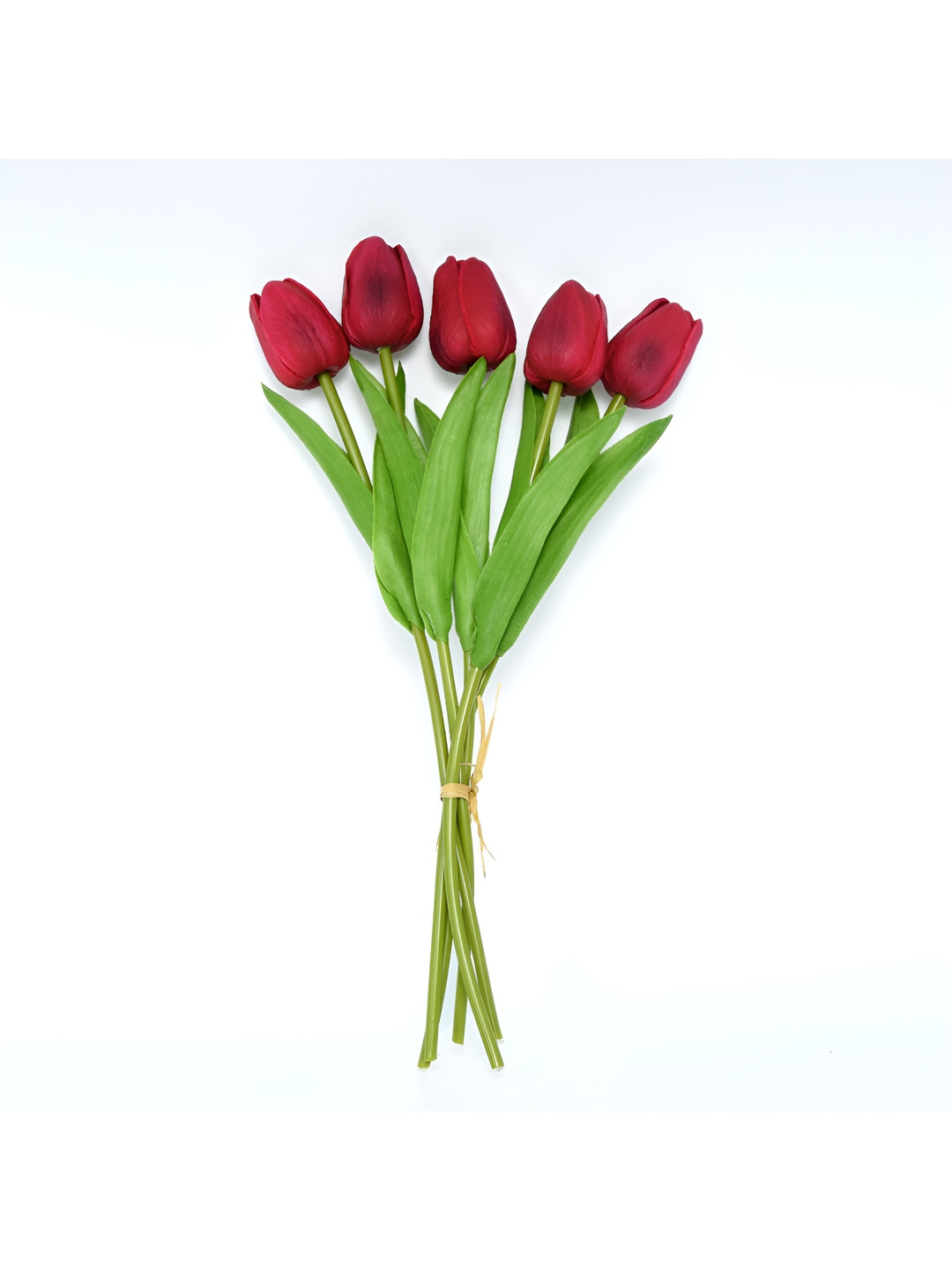

Cortina Green 10 Pieces Artificial Flower