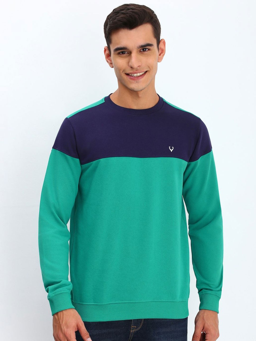 

Allen Solly Men Colourblocked Round Neck Pullover Sweatshirt, Green