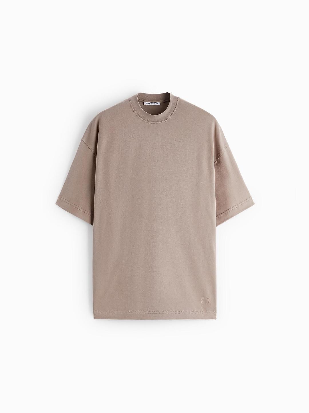 

ZARA Men Brown T-shirt
