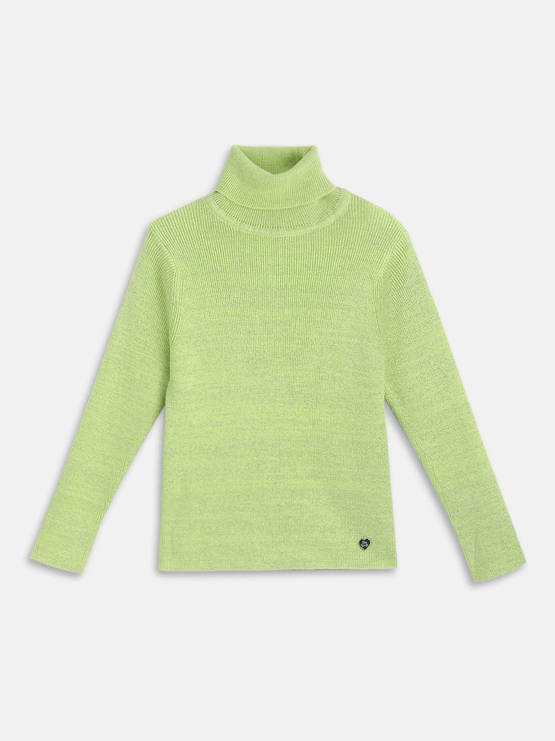 

Blue Giraffe Girls Ribbed Pullover Cotton Full Sleeves Sweater, Green