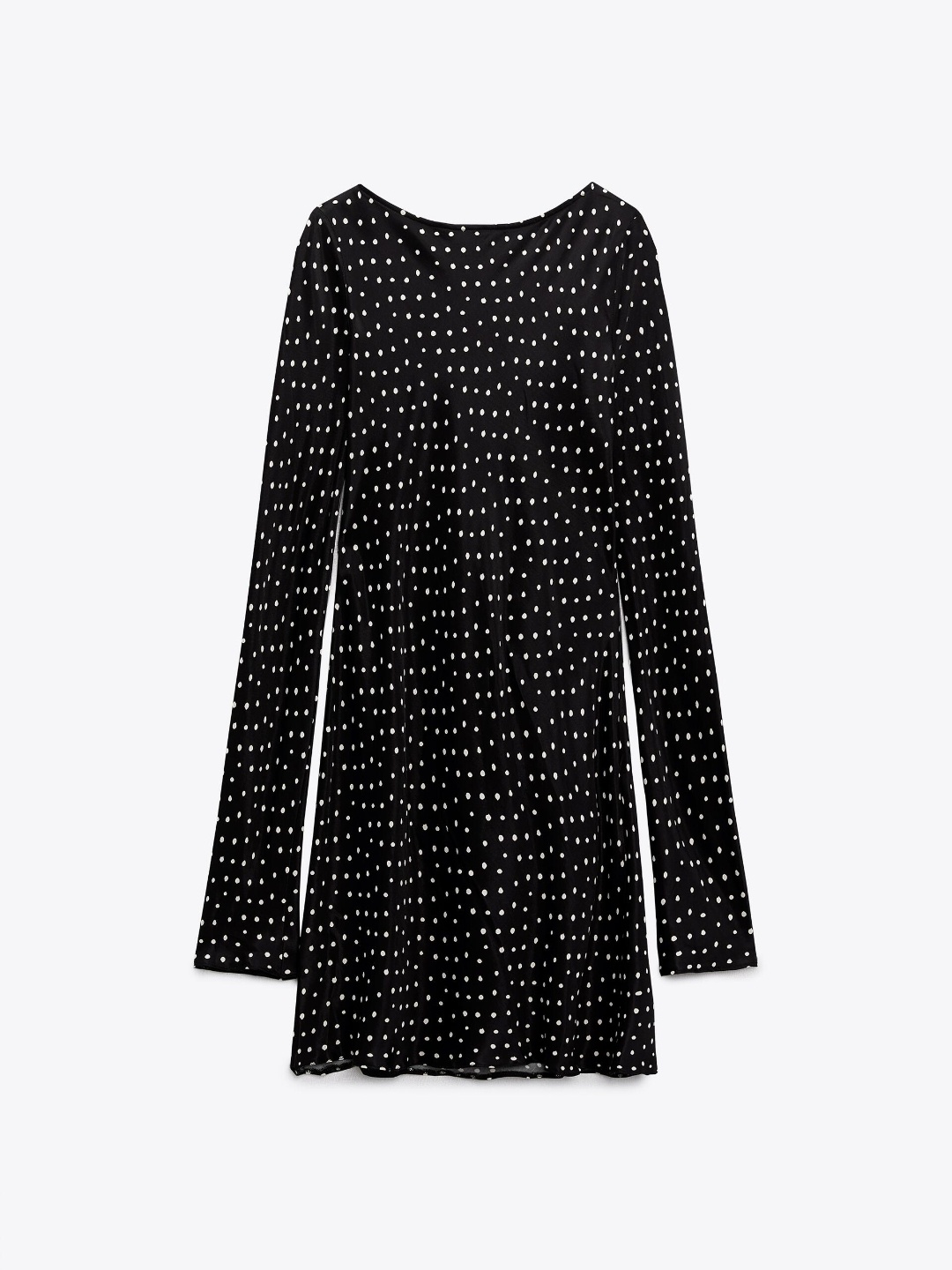 

ZARA Women Multi Dress