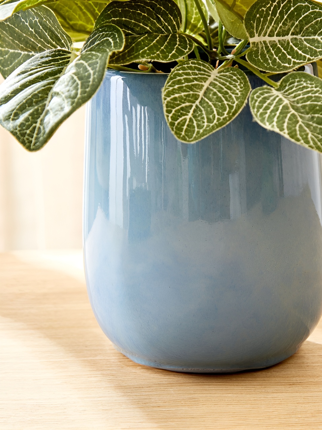 

Home Centre Splendid Homeshores Glaze Blue Regular Ceramic Planter