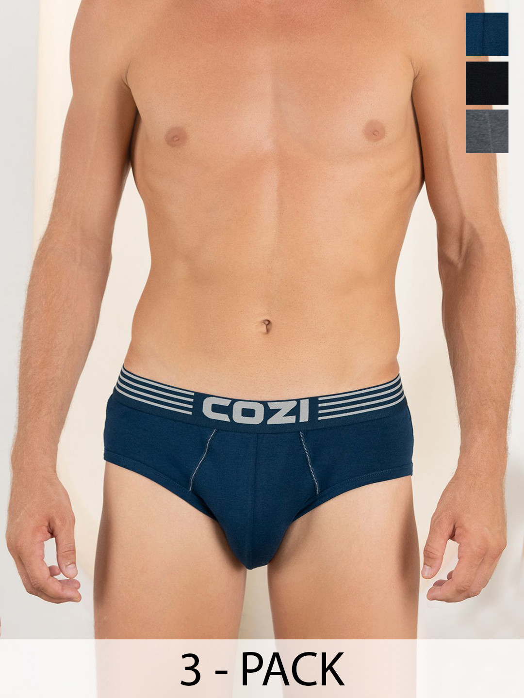 

Lux Cozi Men Pack Of 3 Assorted Pure Cotton Basic Briefs COZI_1121_LUXURY_AST_3PC