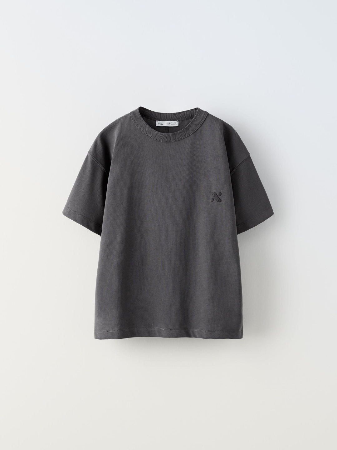 

ZARA Boys Grey Tshirts