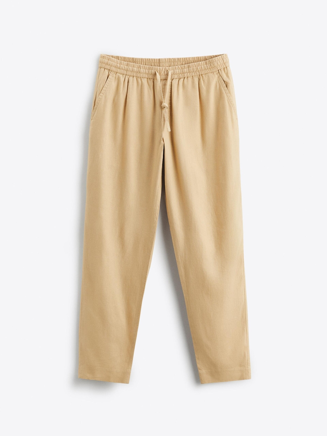 

ZARA Men Brown Trousers