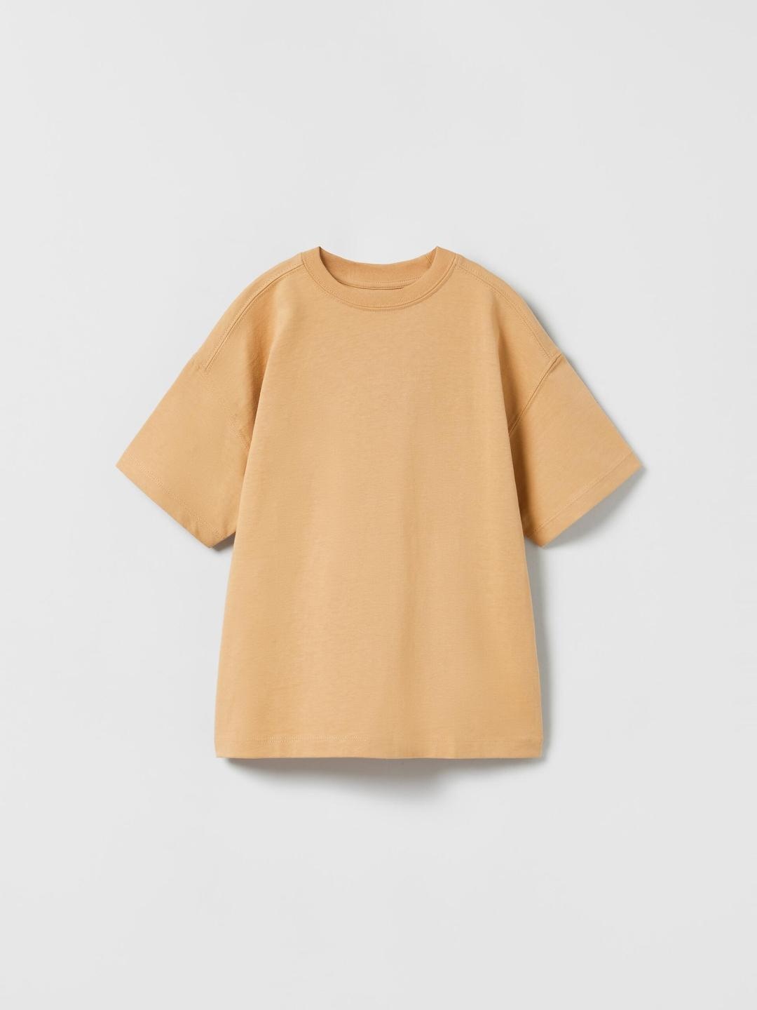 

ZARA Boys Brown Tshirts