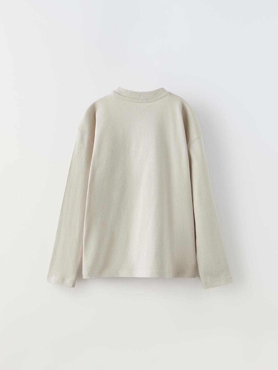 

ZARA Boys Grey Tshirts