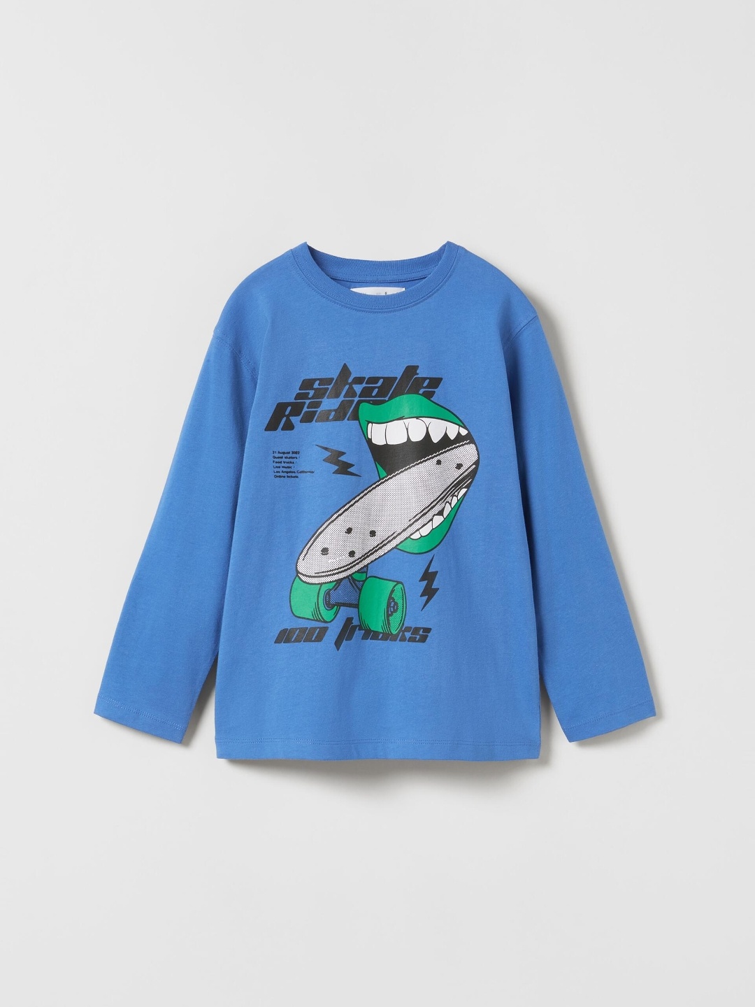 

ZARA Boys Blue Tshirts