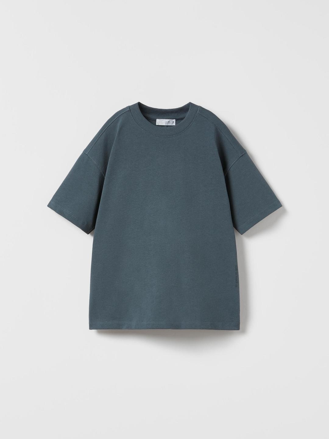 

ZARA Boys Grey Tshirts