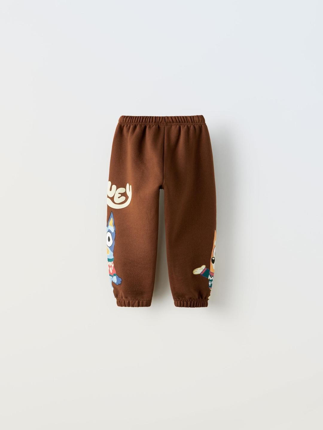

ZARA Unisex Brown Trousers