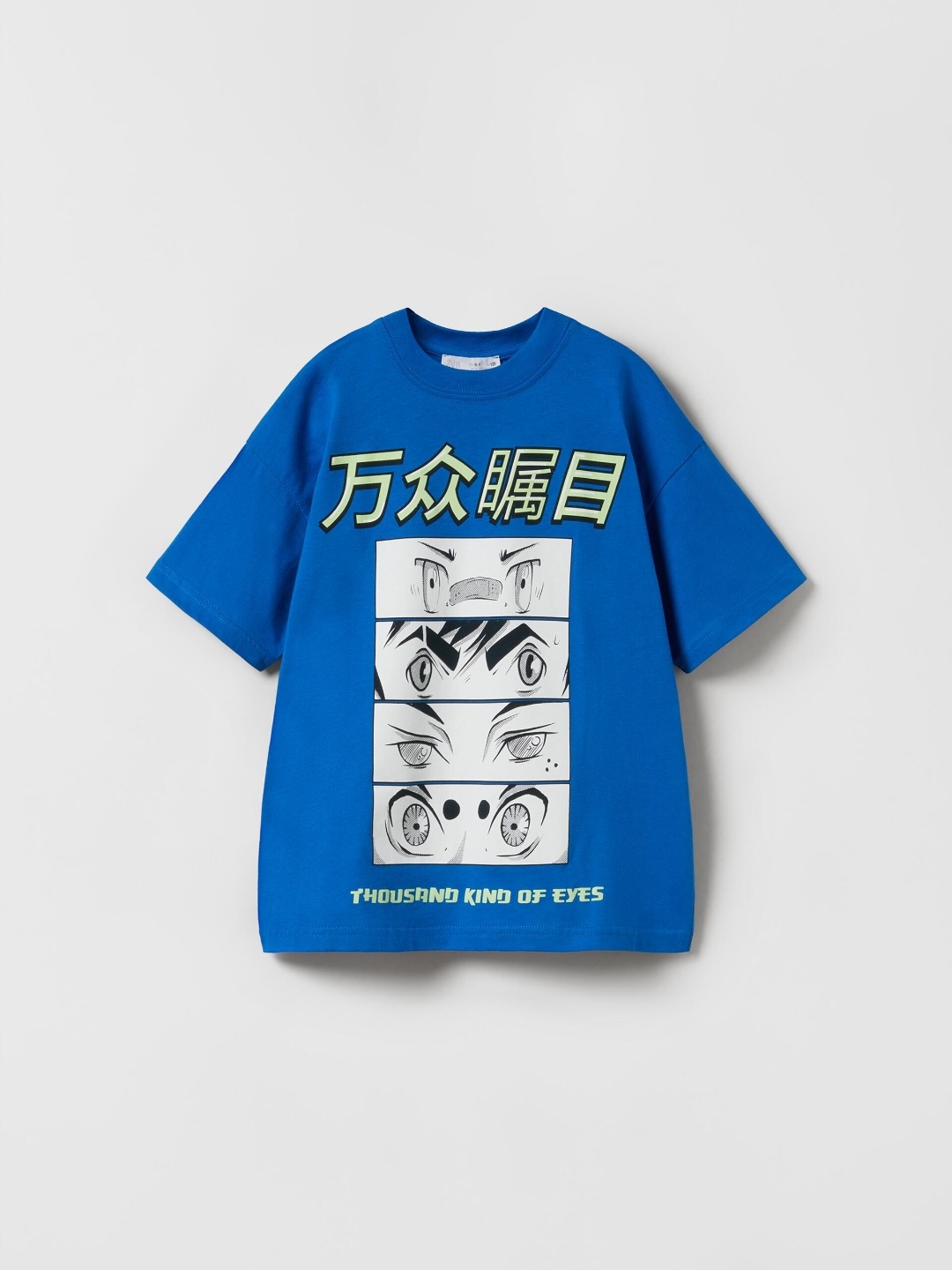 

ZARA Boys Blue Tshirts