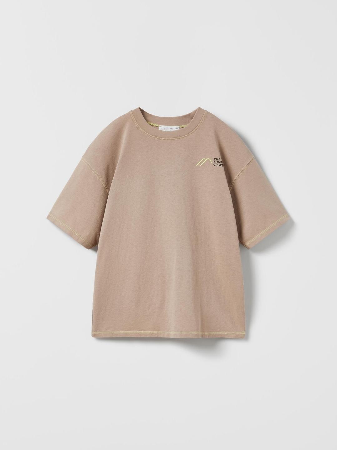 

ZARA Boys Brown Tshirts