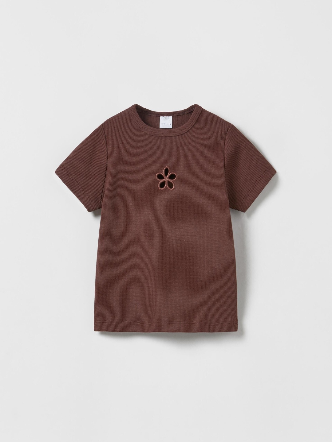 

ZARA Girls Brown Tshirts