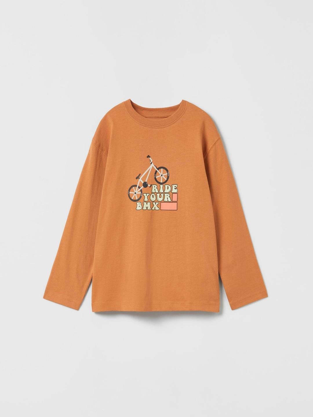 

ZARA Boys Brown Tshirts