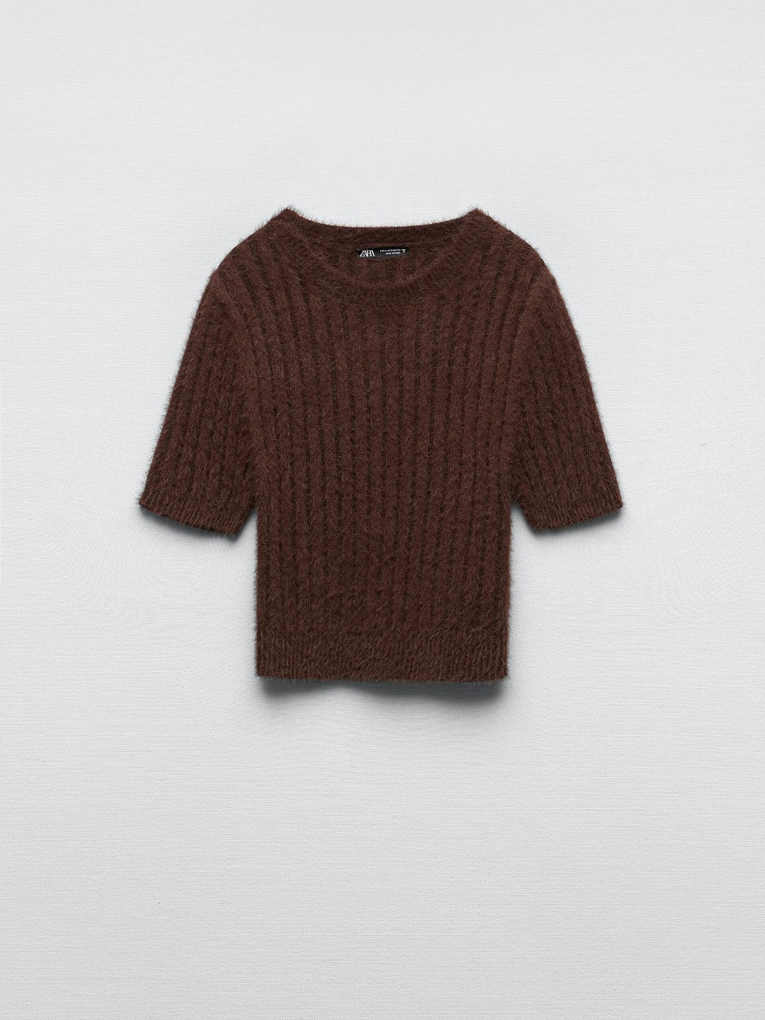 

ZARA Women Brown Tshirts
