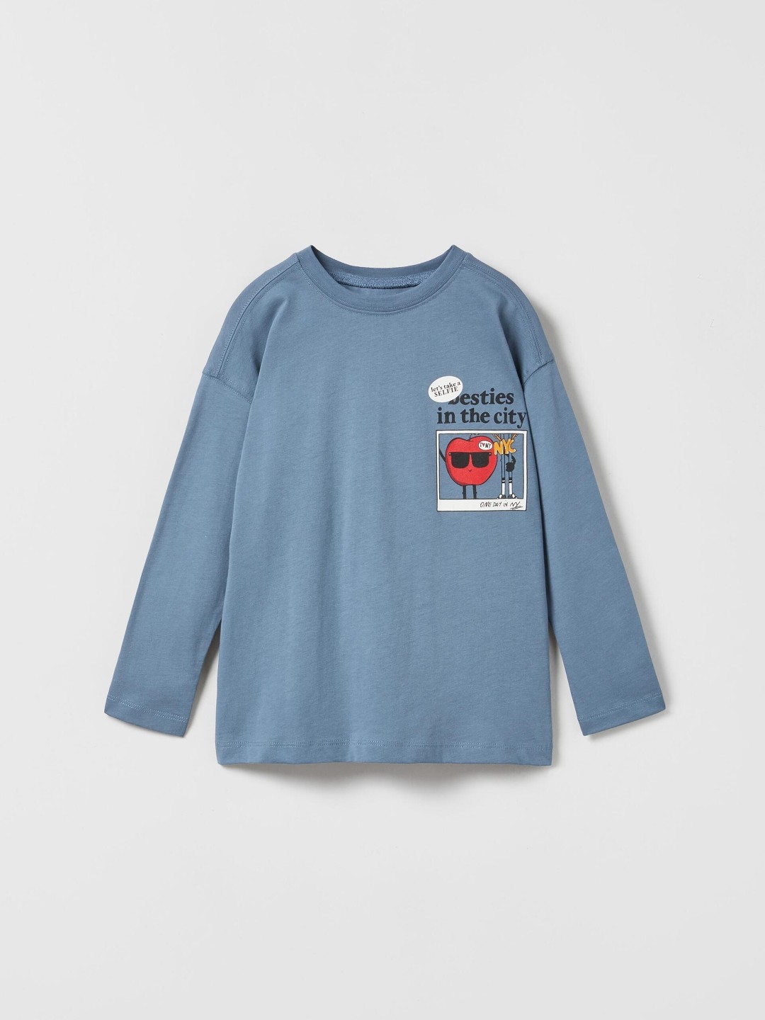 

ZARA Boys Blue Tshirts