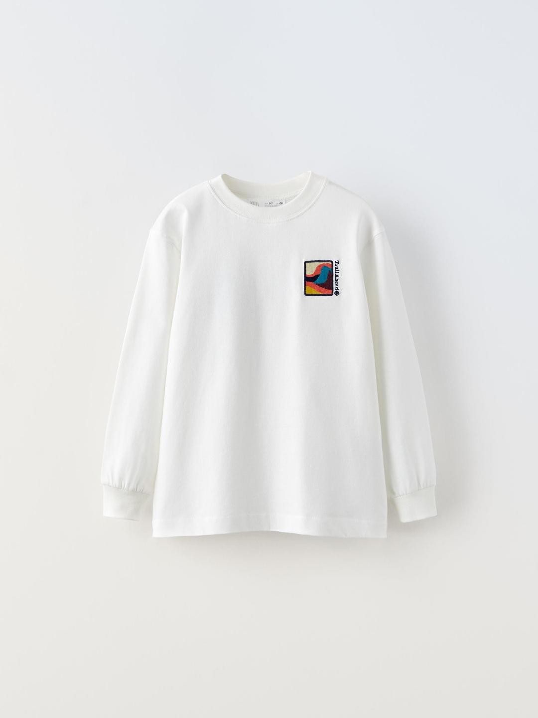 

ZARA Boys Beige Tshirts