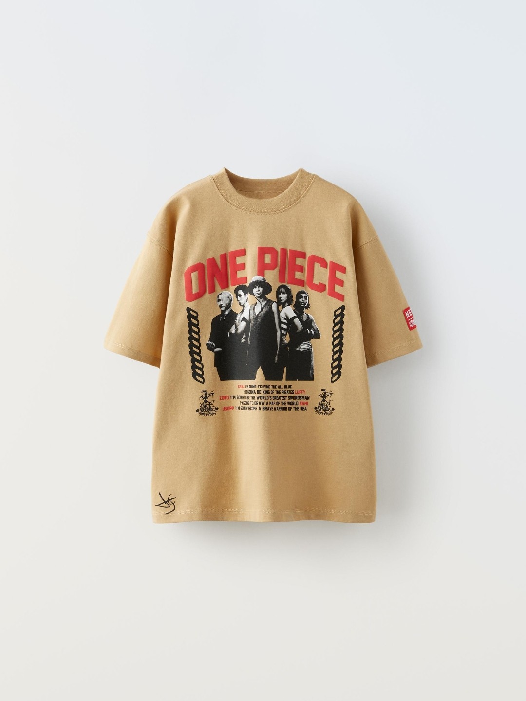 

ZARA Boys Brown Tshirts