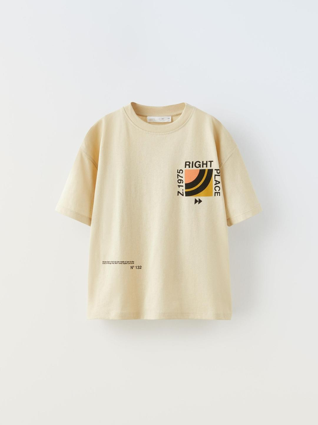 

ZARA Boys Brown Tshirts