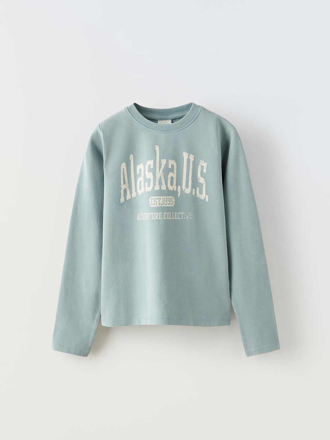 

ZARA Girls Green Tshirts