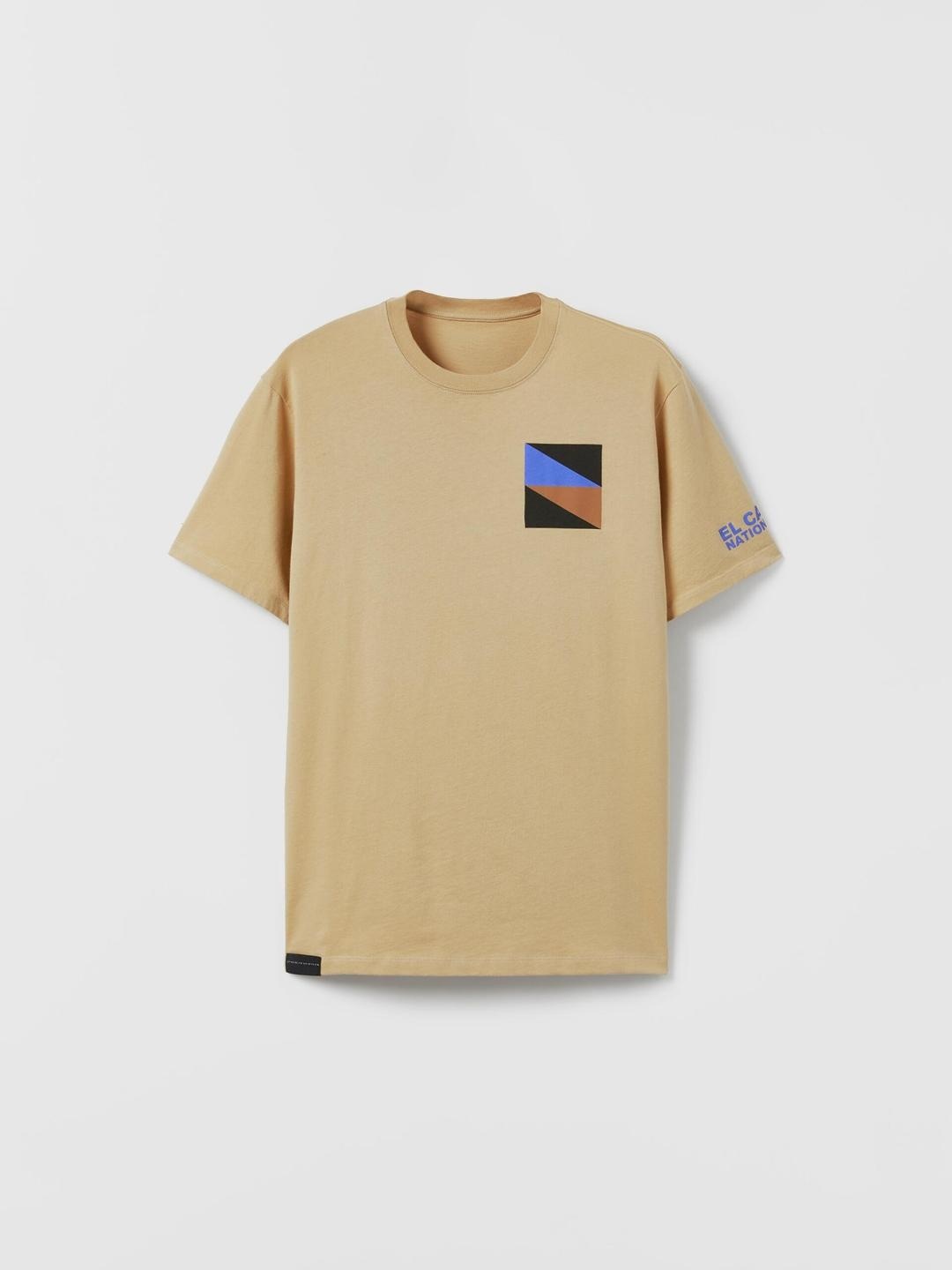 

ZARA Men Brown Tshirts