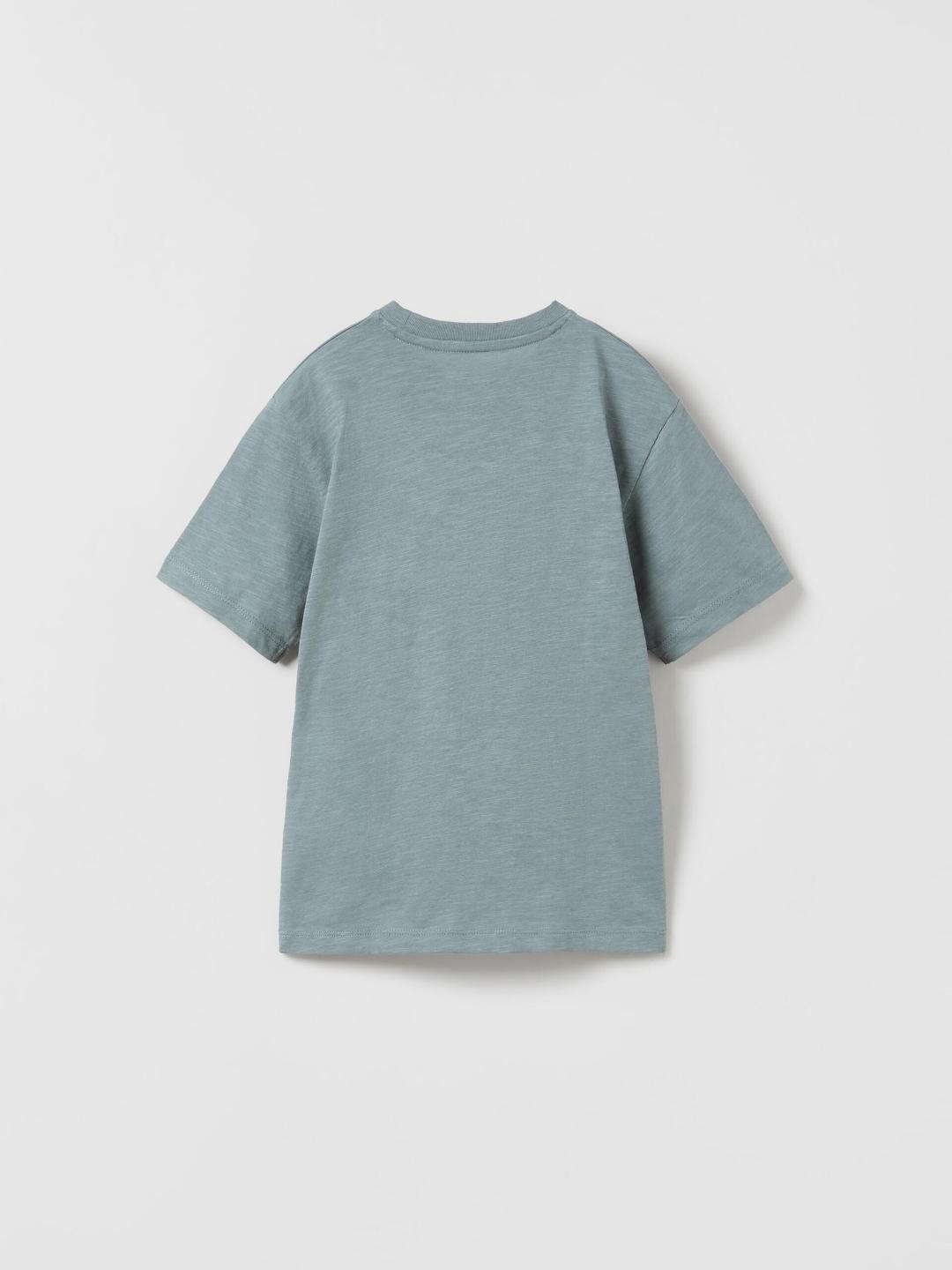 

ZARA Boys Blue Tshirts