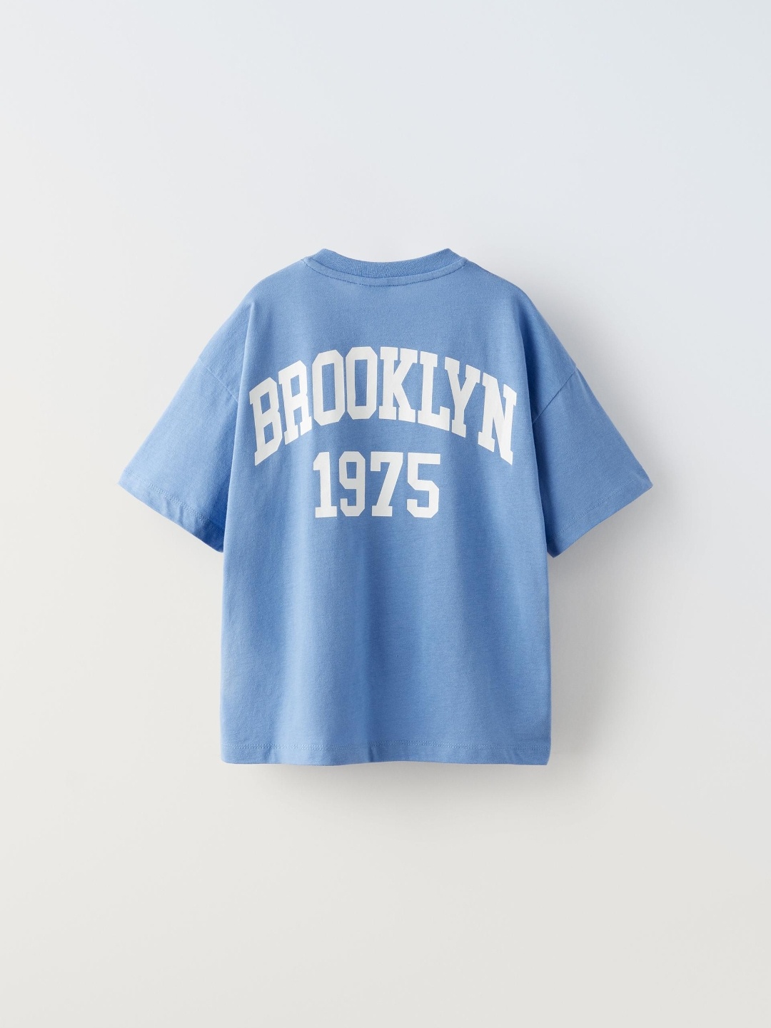 

ZARA Boys Blue Tshirts