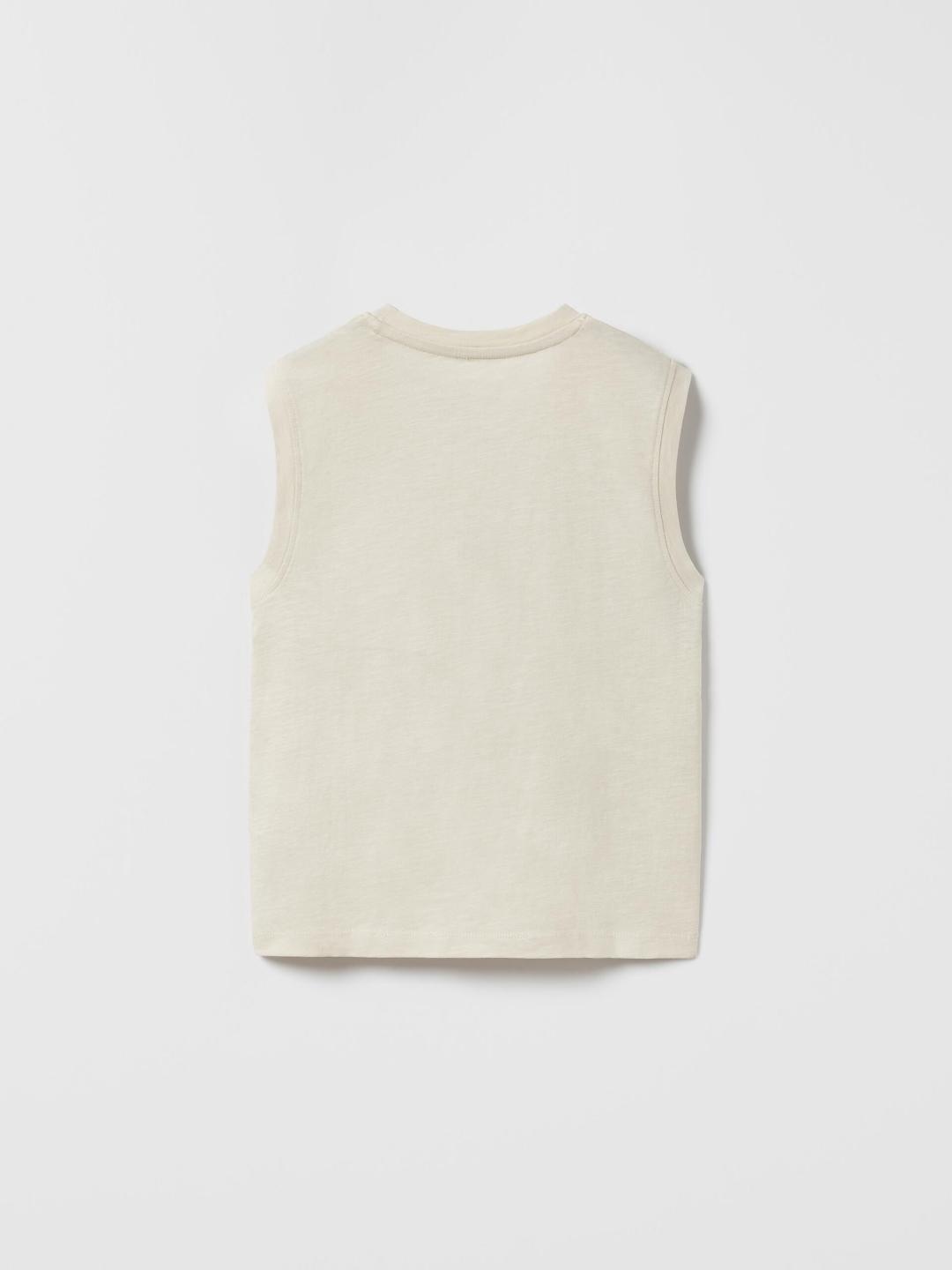

ZARA Boys Beige Tshirts