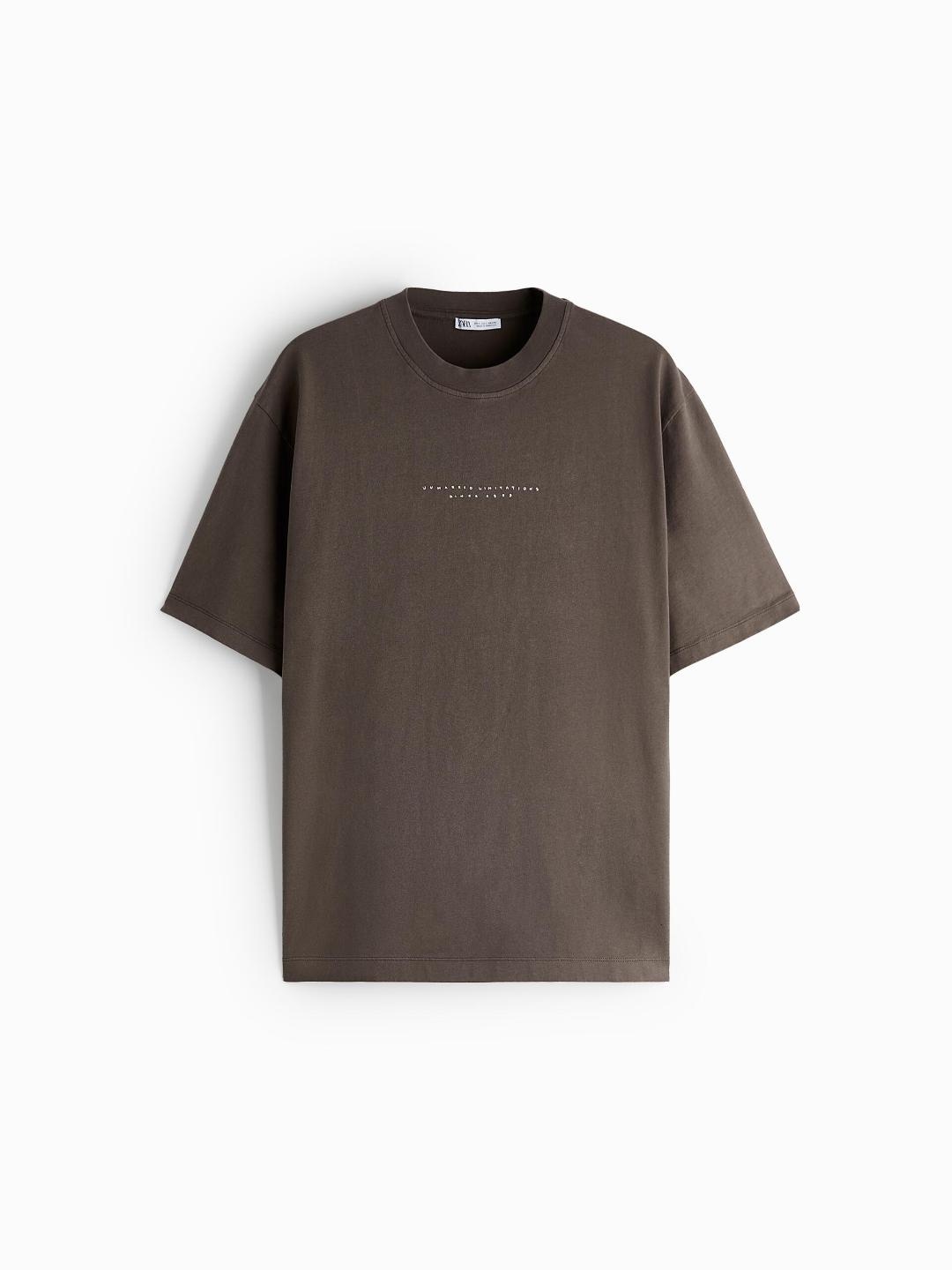 

ZARA Men Grey Tshirts
