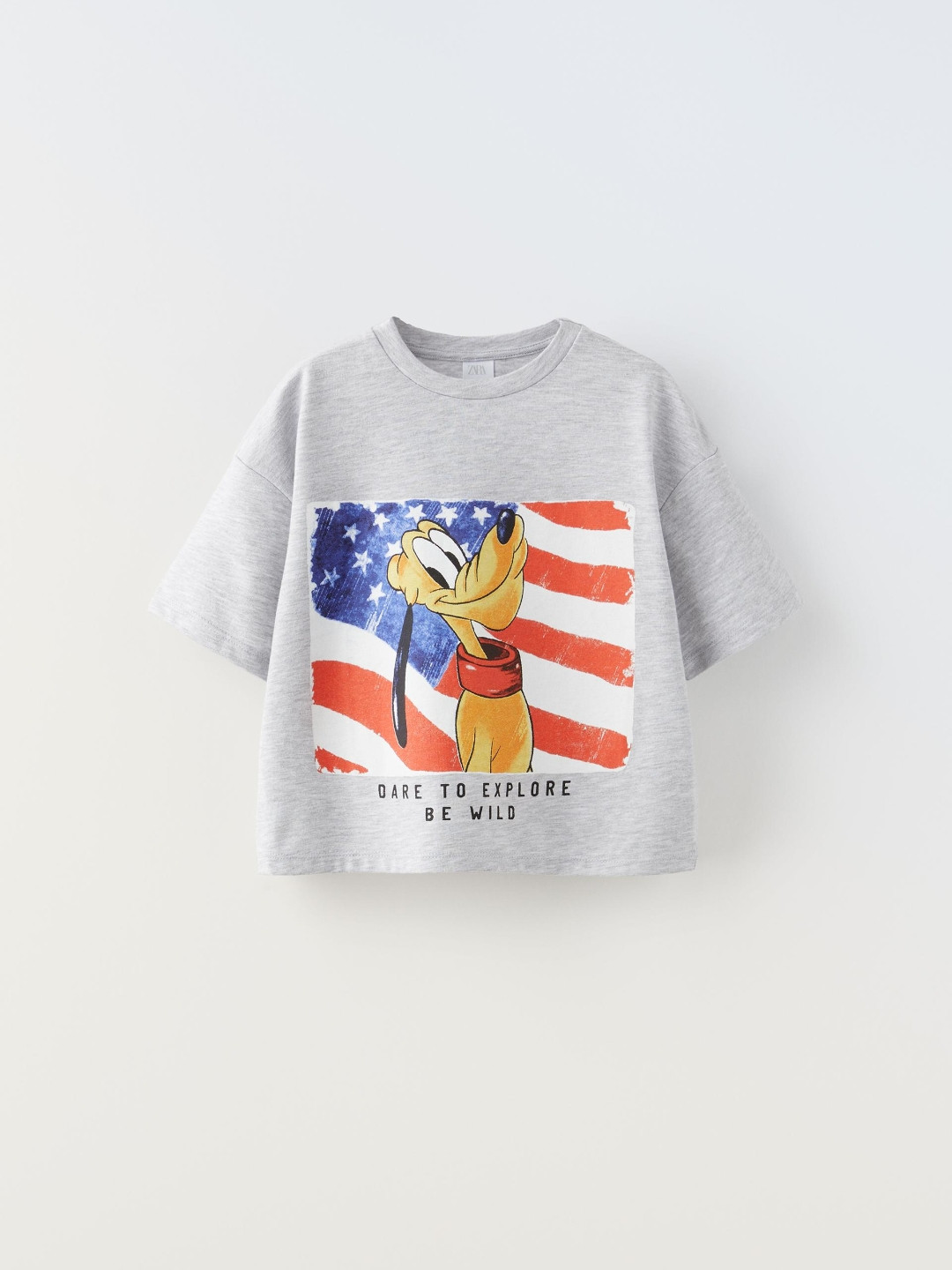 

ZARA Girls Grey Tshirts