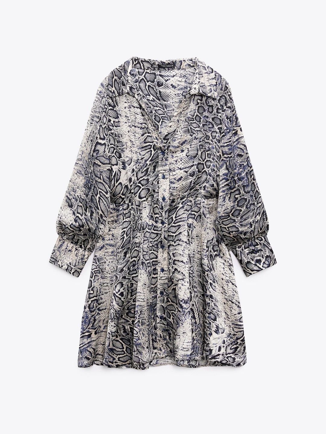 

ZARA Women Multi Dresses