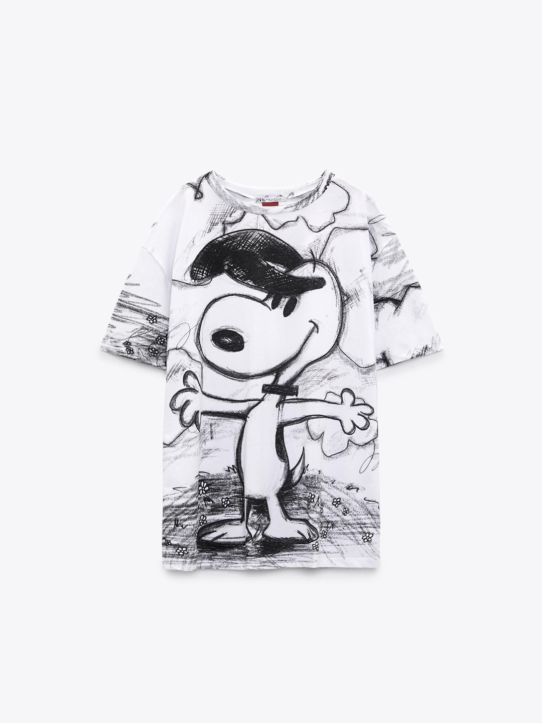

ZARA Women Multi Tshirts